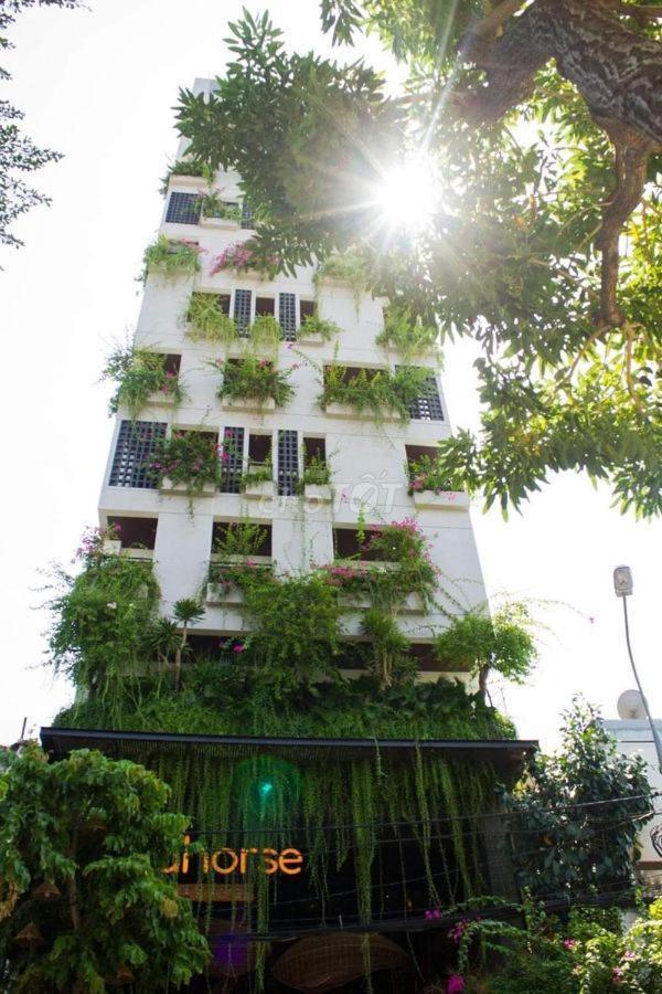 Seahorse Tropical Apartment 다낭 외부 사진
